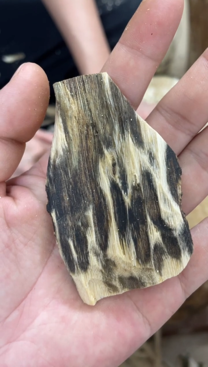 沉香沉香碎屑明*棋楠沉香 原料文创1