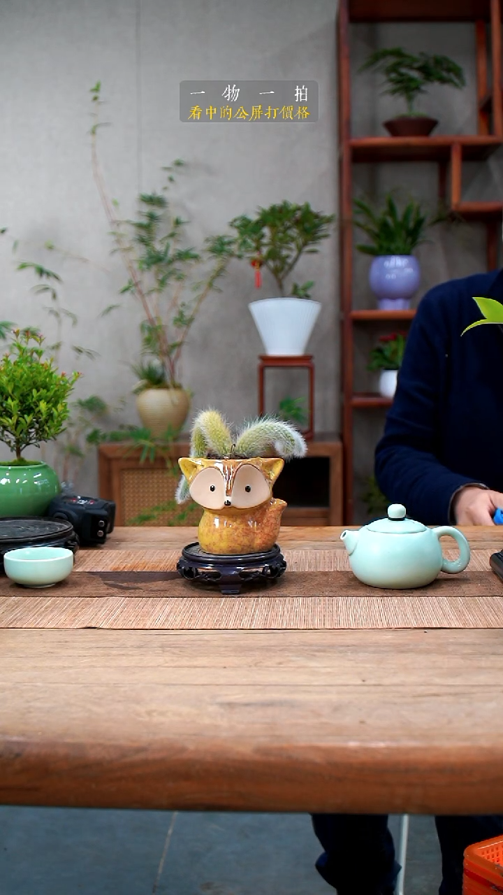 完全开放豆***西九尾狐027