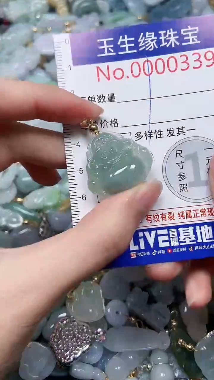 【闪购商品】翡翠颈饰未镶嵌闪购00000339