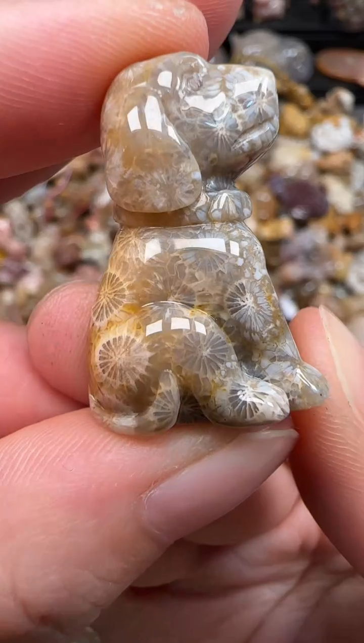 硅化珊瑚（珊瑚玉）未镶嵌颈饰134