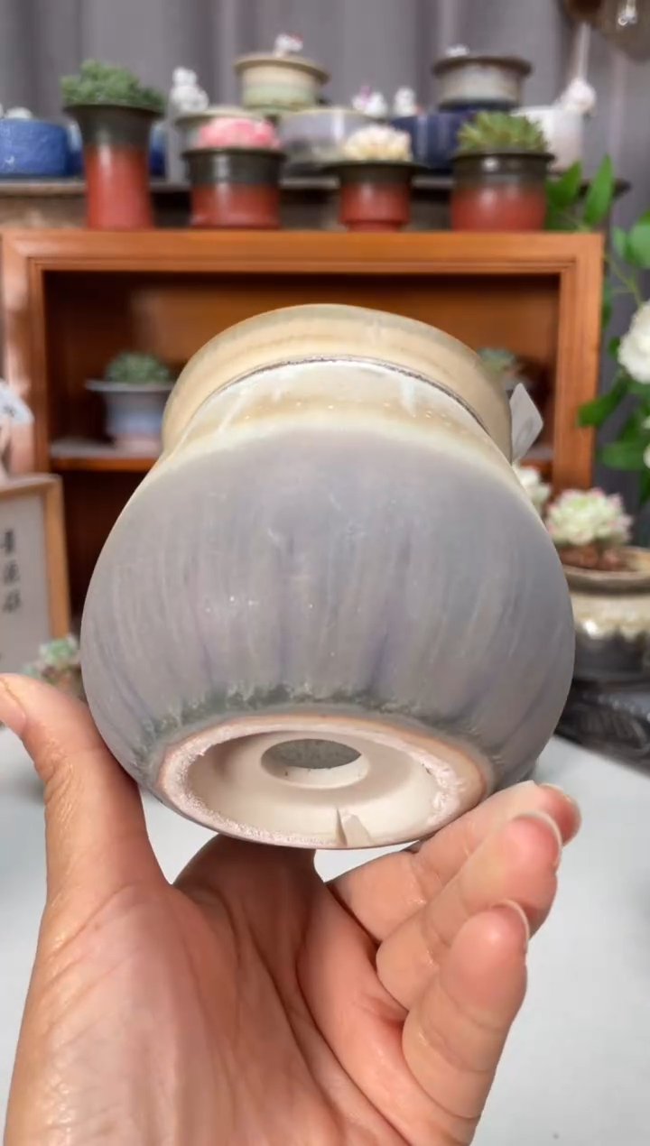 瓷片066知木小芳花盆