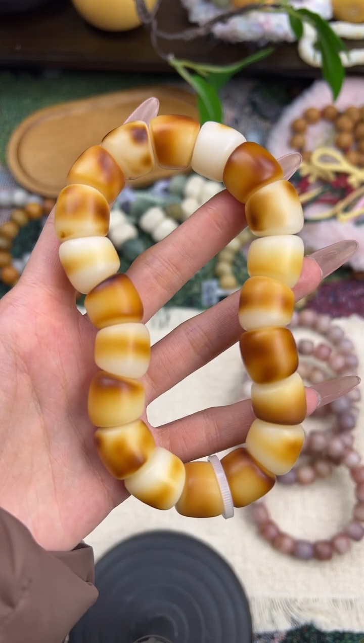 手串菩提根/象牙果一****️卡16菩提大肠006