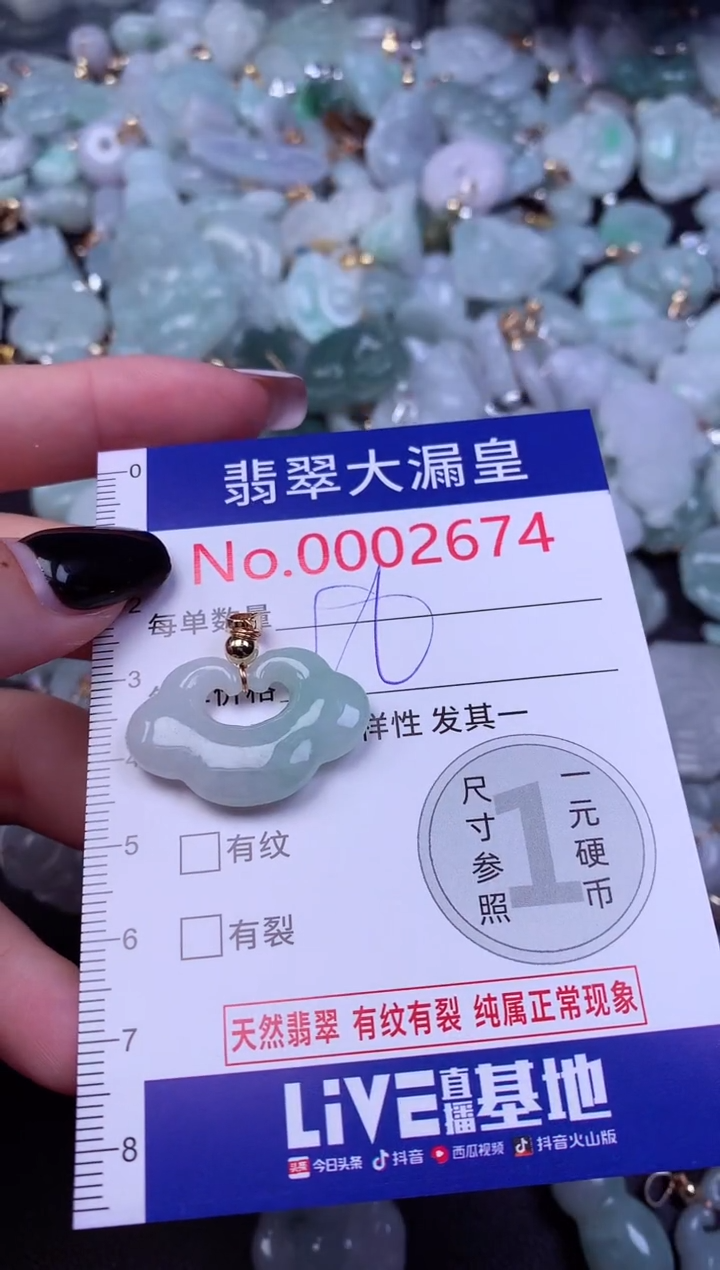 颈饰未镶嵌翡翠2674