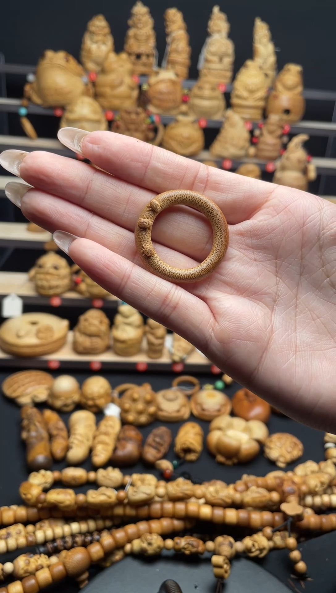 竹龙血金丝竹连中三甲环