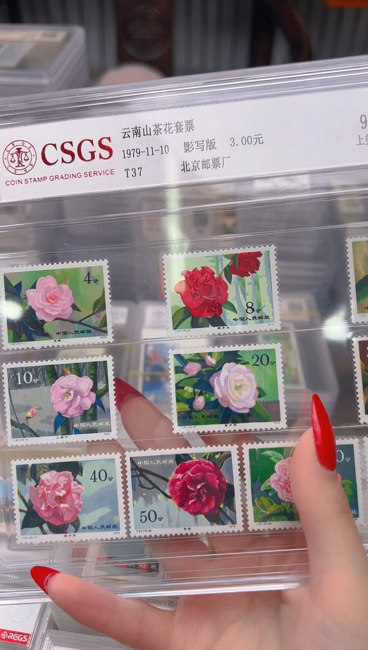 【闪购商品】T37云南山茶花套票 精大盒