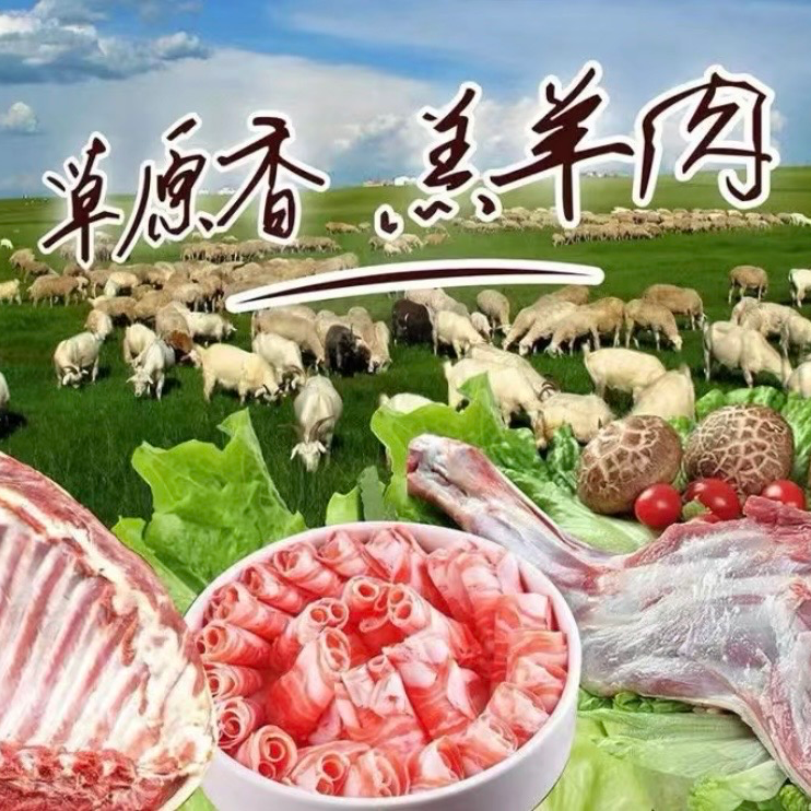 【暖冬特惠】羔羊肉卷四盒内蒙古锡林浩特散养羔羊（可溯源180天草原羊）