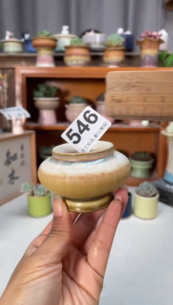 瓷片546小芳直播编号