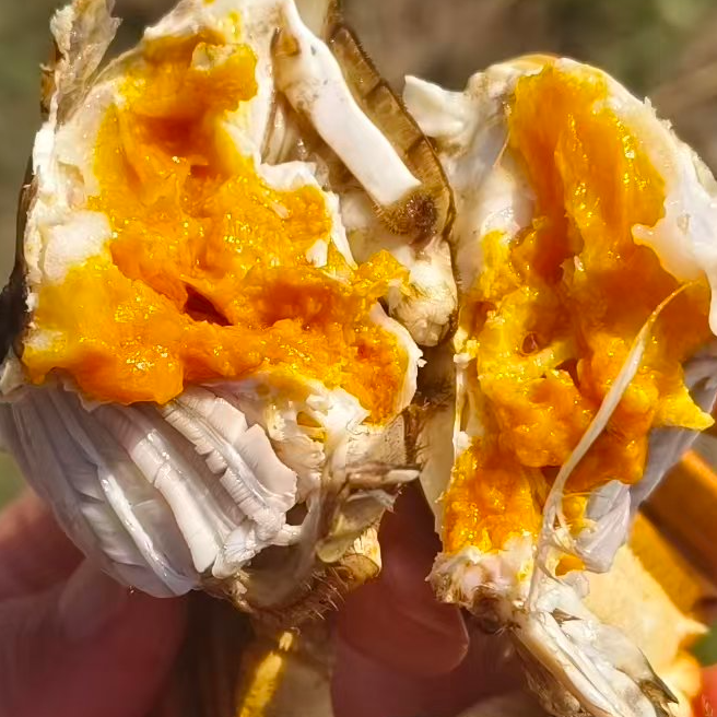 「活蟹」段腿自己吃公母蟹3斤兴化鲜活大闸蟹2.5两以上6只以上顺丰