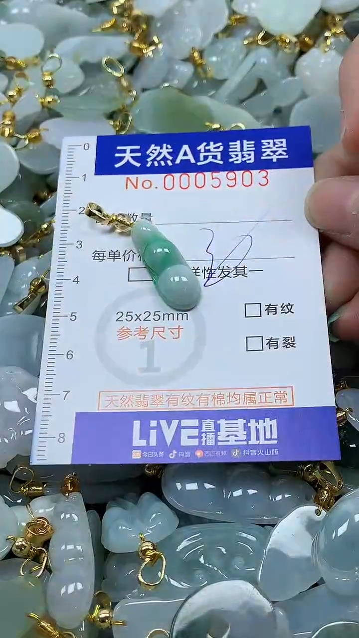 颈饰未镶嵌翡翠纯天然a货翡翠