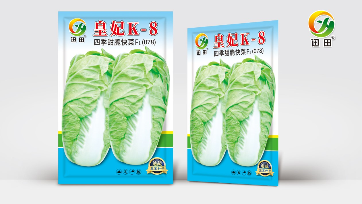 皇妃四季甜脆快菜四季高产大白菜种子早熟晚熟适合阳台庭院种植