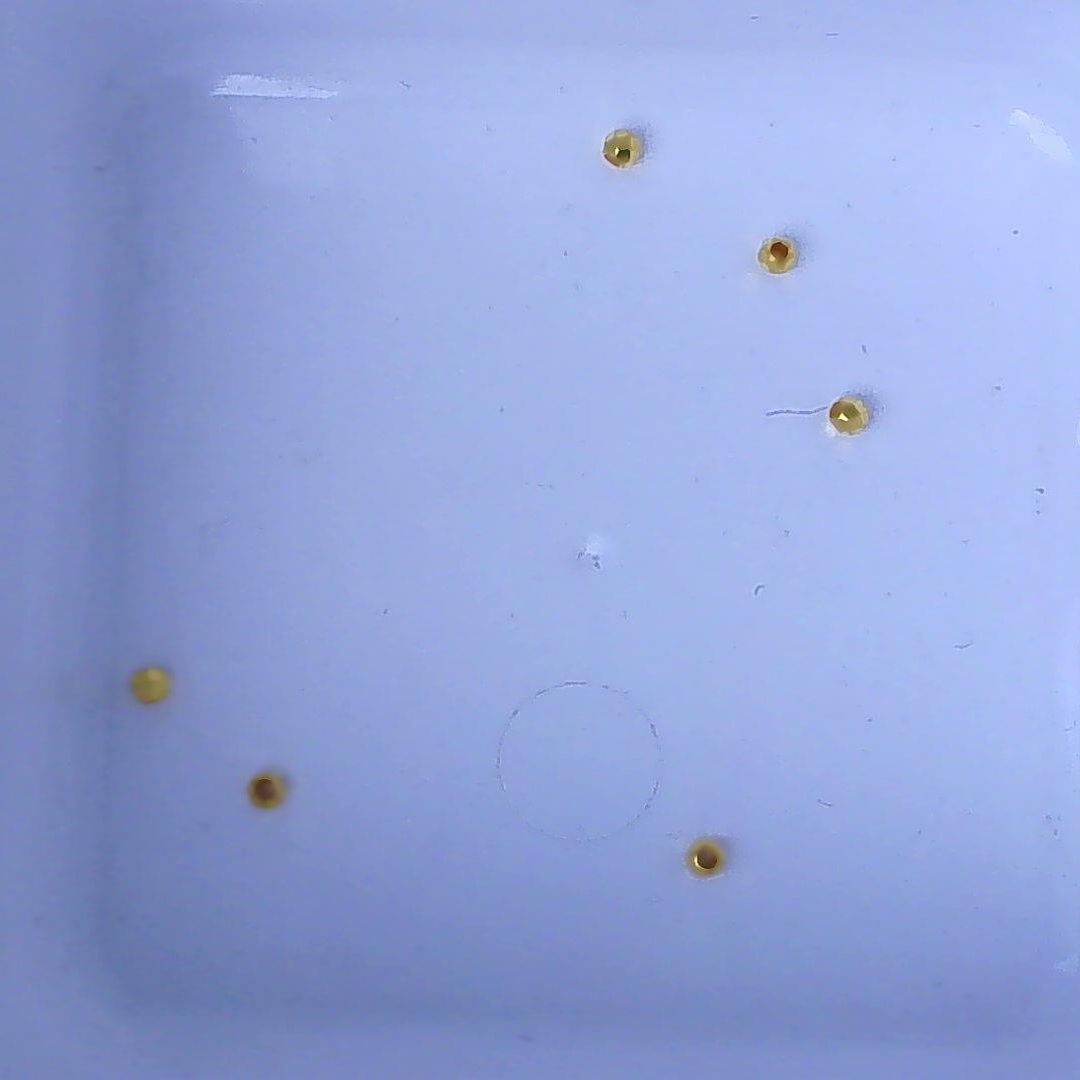 黄金足金小金 豆2