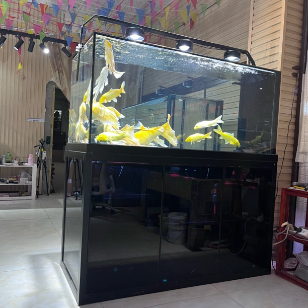 极窄侧溢流超白玻璃龙鱼缸客厅靠墙水族箱吉罗缸缸高70