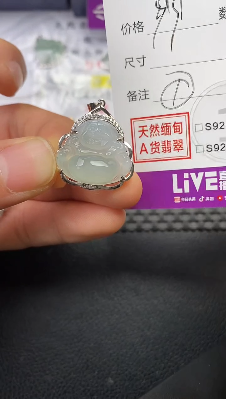 颈饰银S925镶嵌翡翠飞*挂件