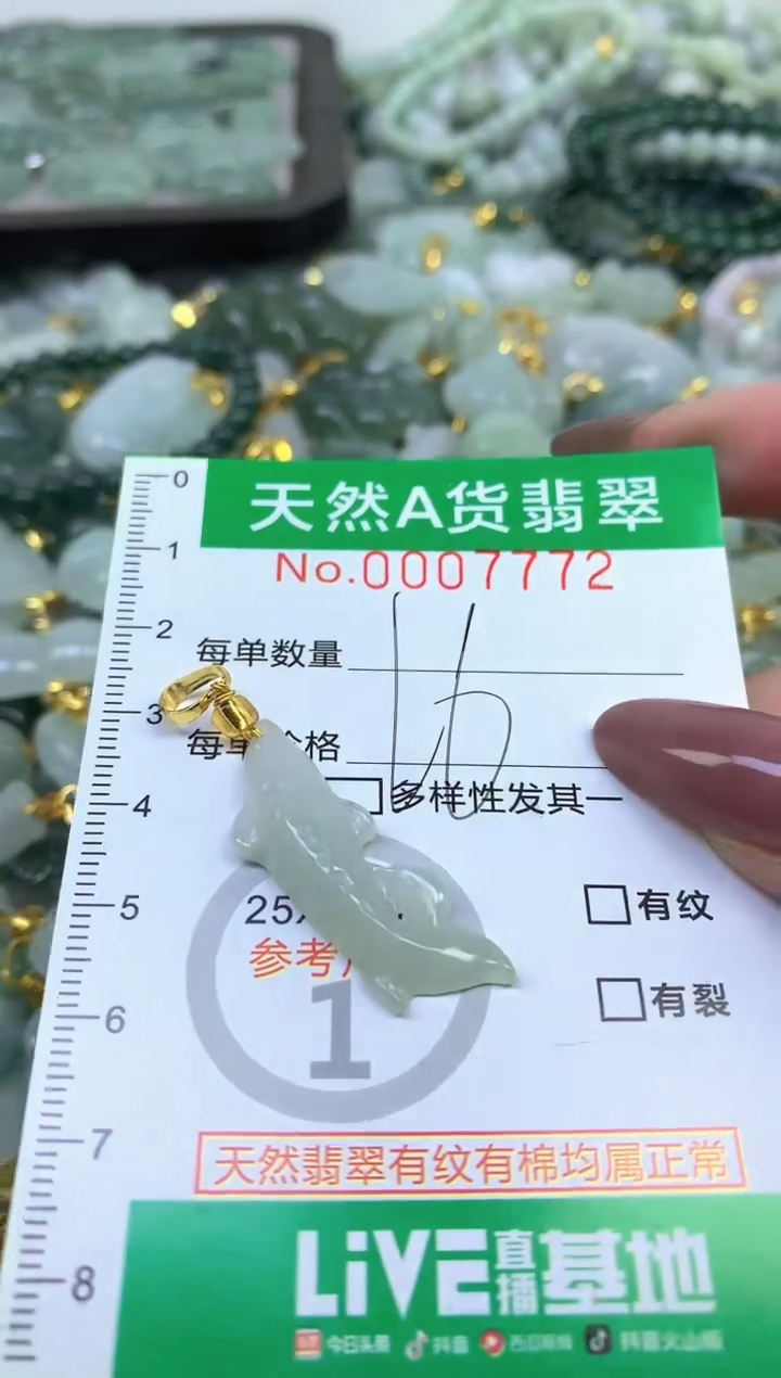 颈饰未镶嵌翡翠纯天然缅甸A货翡翠