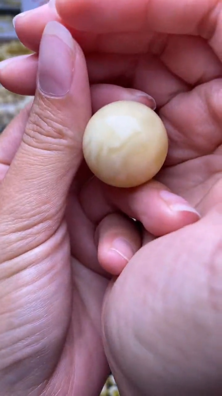 裸石蜜蜡未镶嵌葵.10