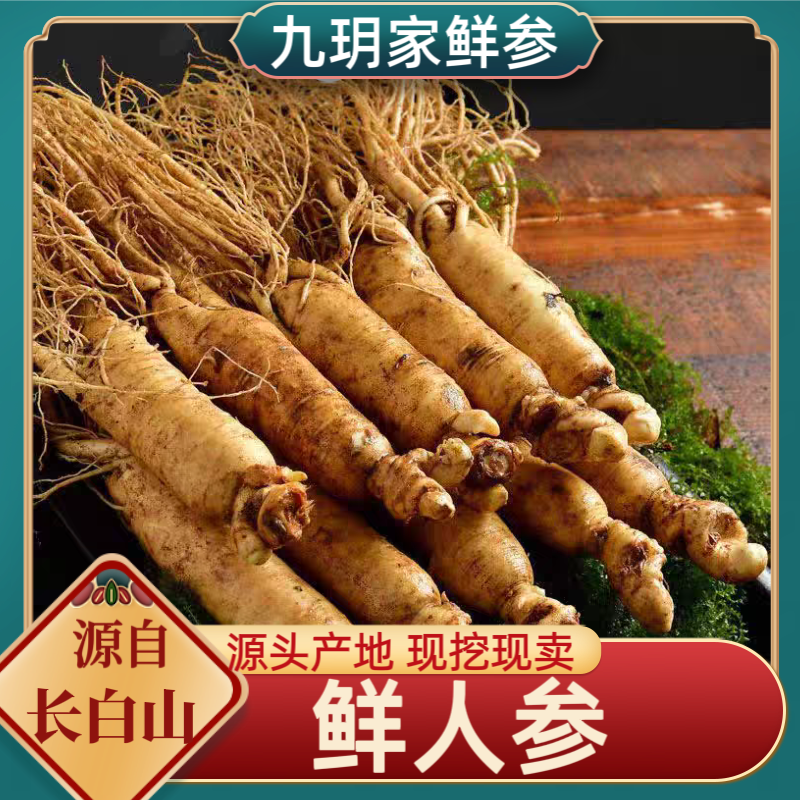长白山新鲜人参 单支50克-60克左右 8-10支1斤装现挖现卖煲汤泡酒