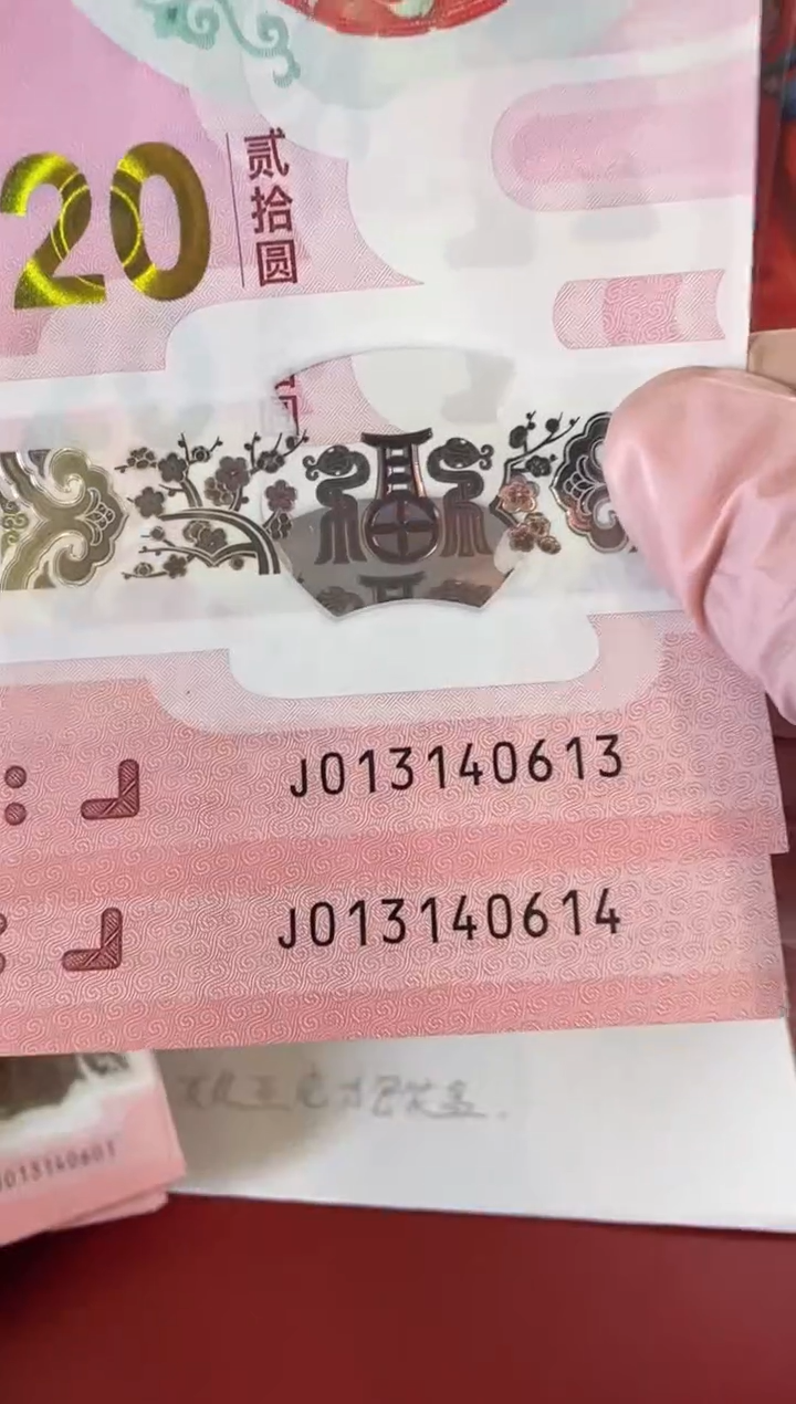 【闪购商品】塑料2025蛇钞啊啊啊啊啊啊2张裸