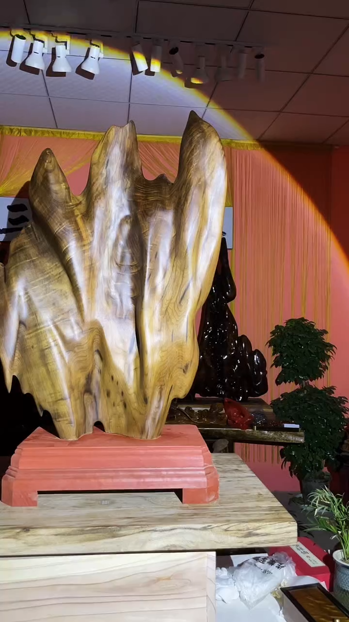 金丝楠股**卖金丝楠木小叶桢楠