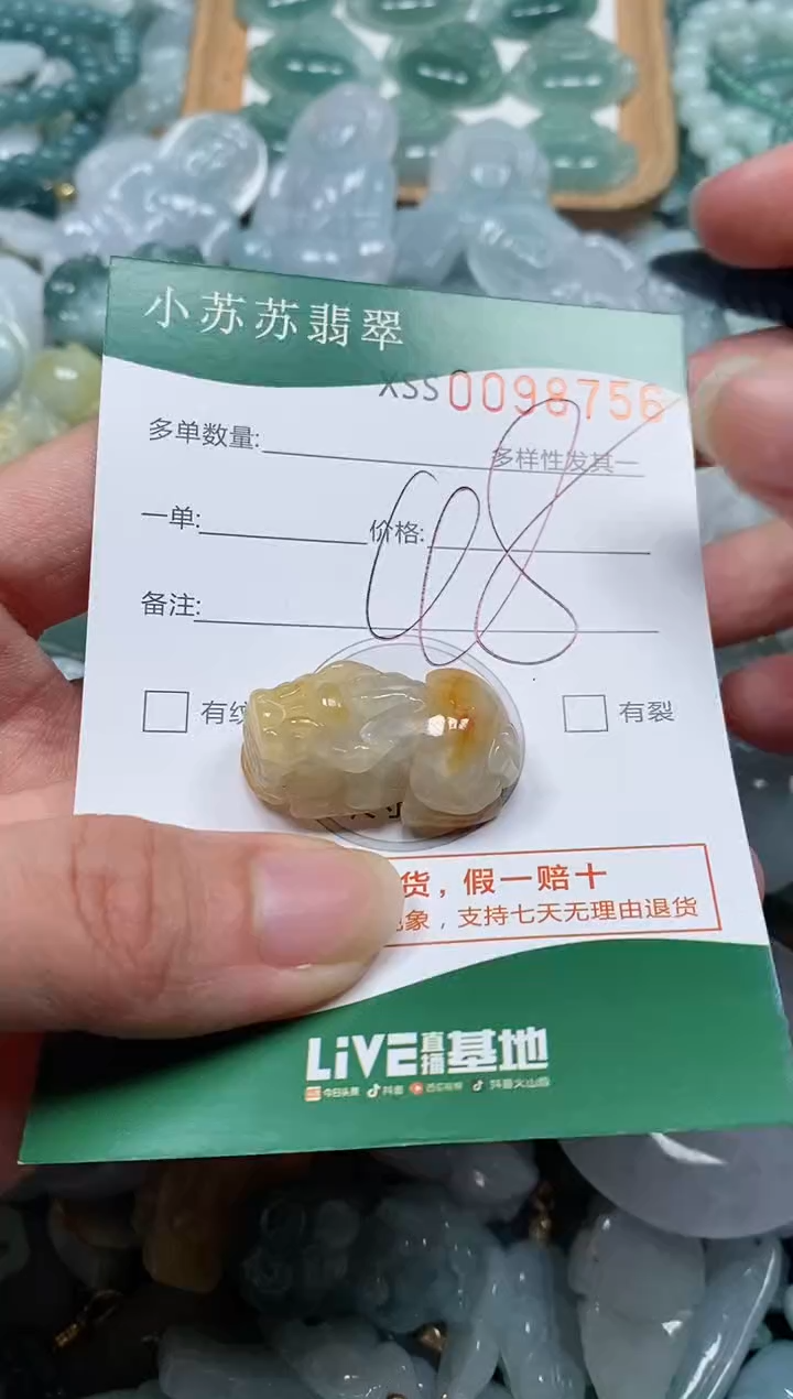 【闪购商品】翡翠颈饰未镶嵌闪购商品0098756