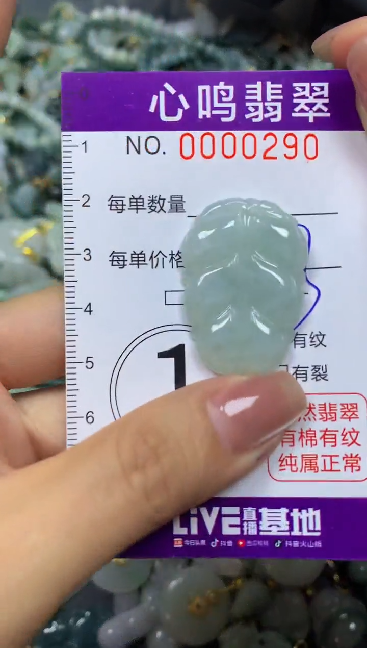 翡翠未镶嵌颈饰闪购00290