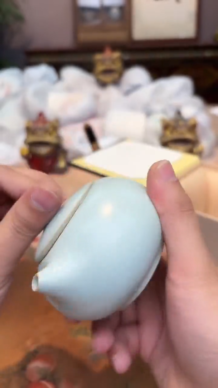 【闪购商品】闪购商品闪购商品@@CC5604