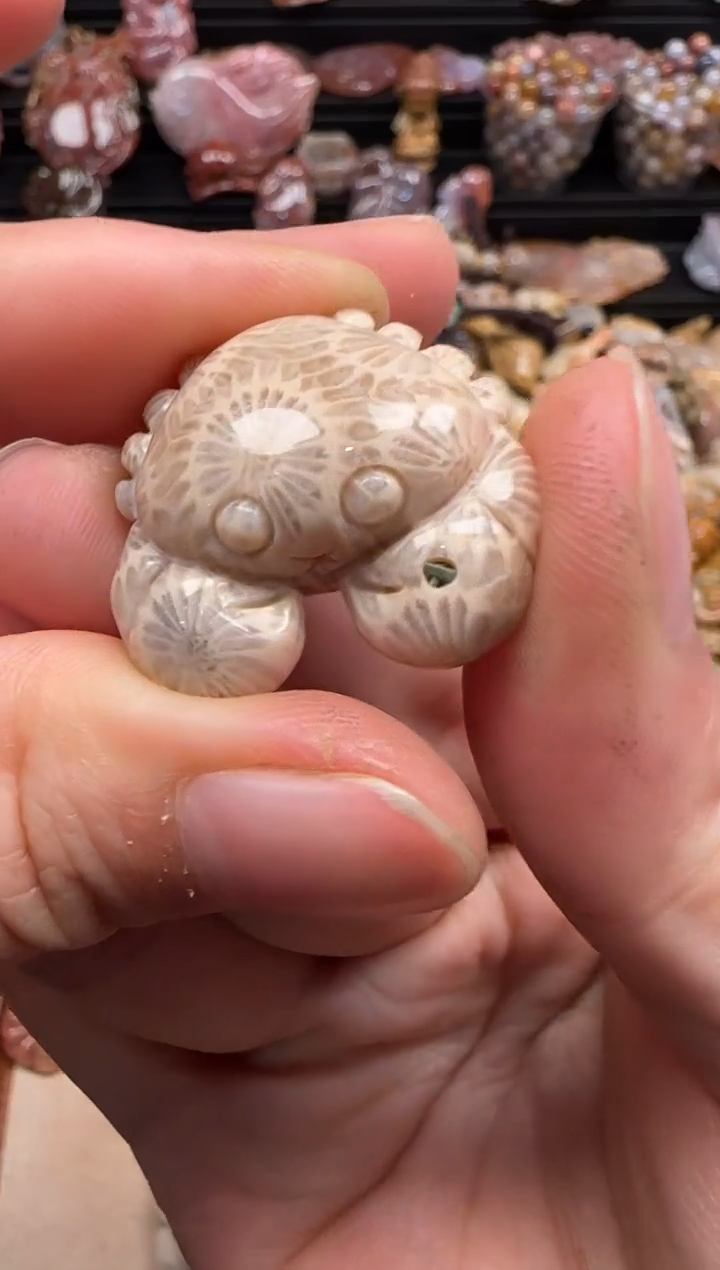 【闪购商品】硅化珊瑚（珊瑚玉）颈饰未镶嵌064