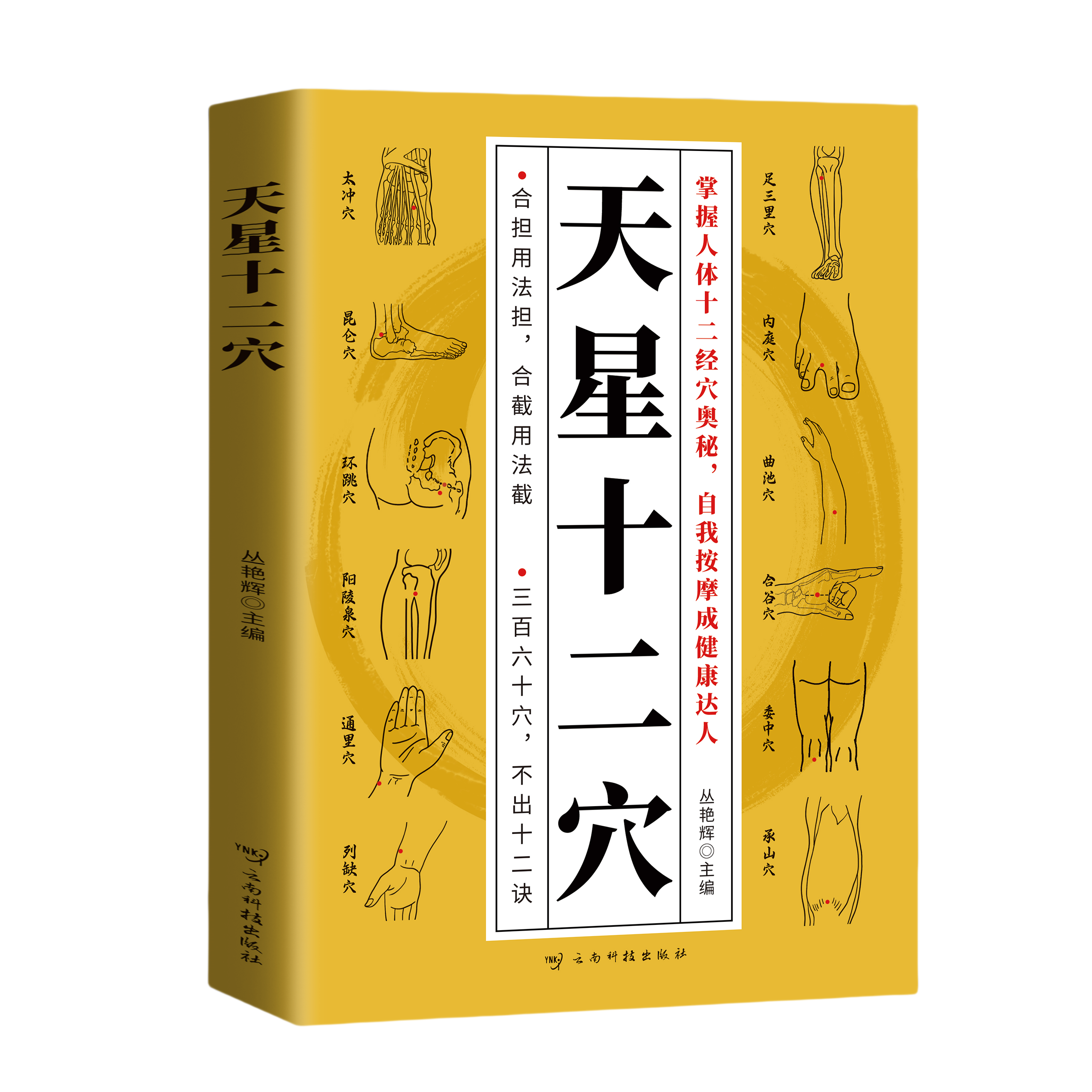 正版天星十二穴掌握人体十二经穴奥秘自我按摩成健康达人中医基础