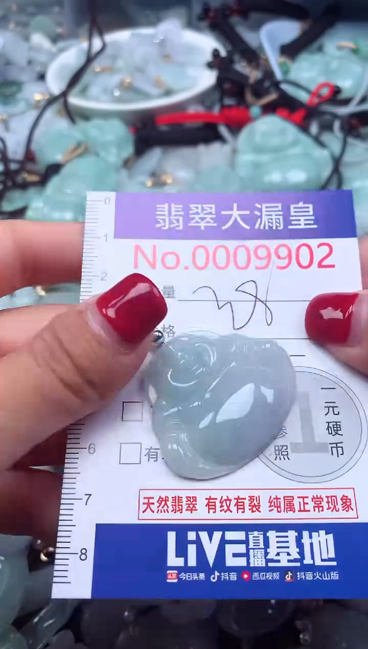 颈饰未镶嵌翡翠9902