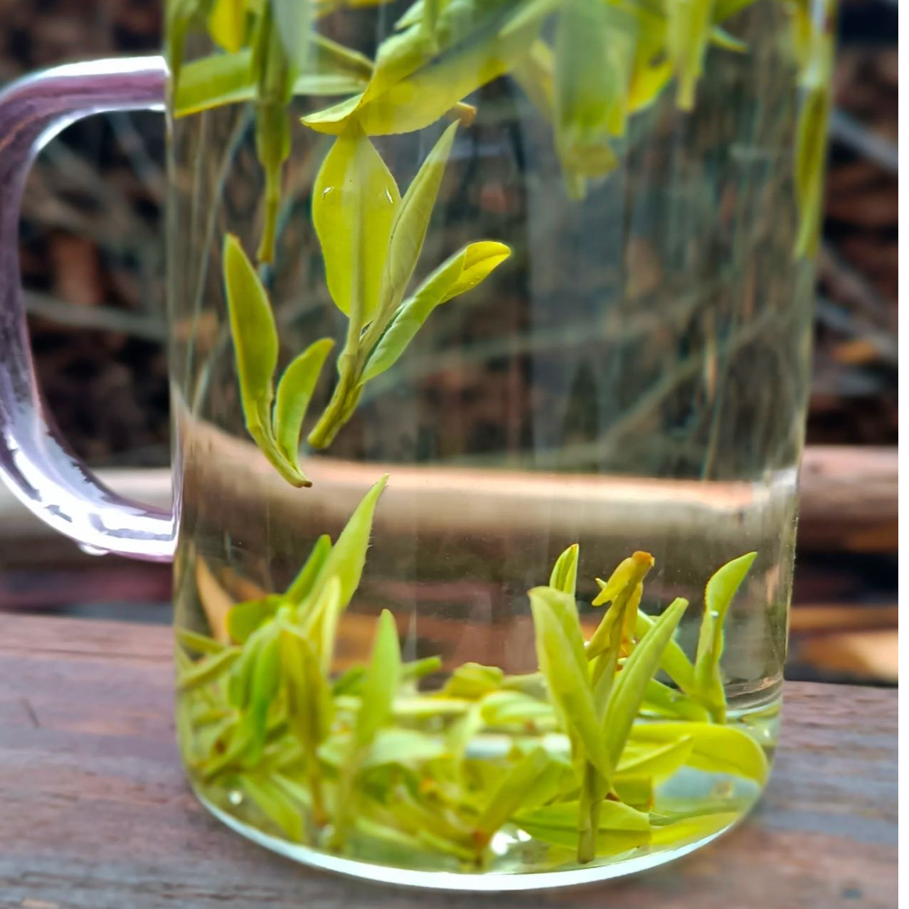 【赠品】新茶绿茶毛峰