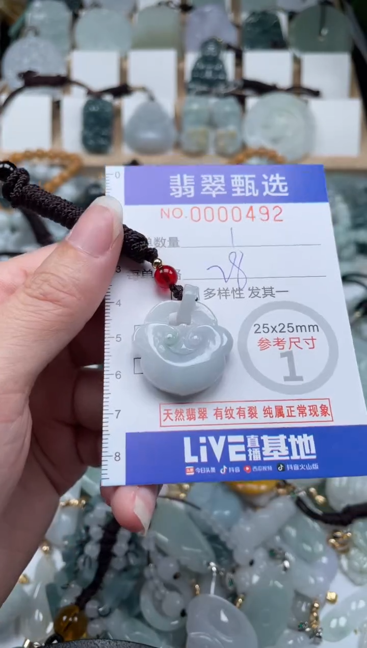 翡翠未镶嵌颈饰00..0492
