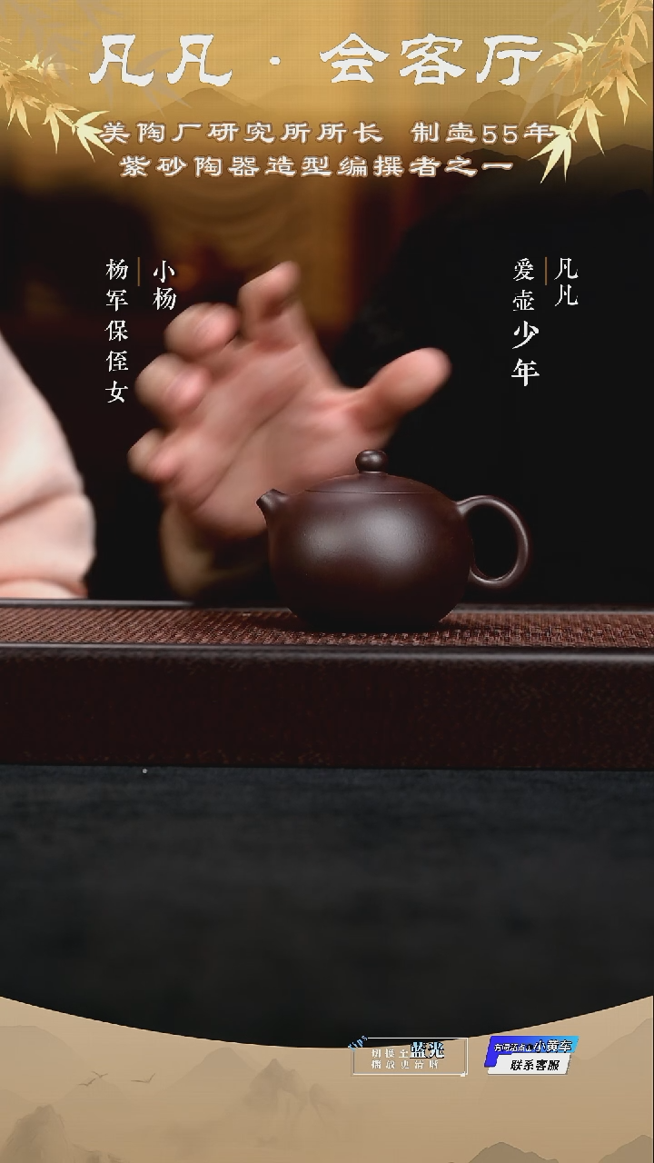 茶壶紫砂YP杨军保15 西施黑墩头200cc