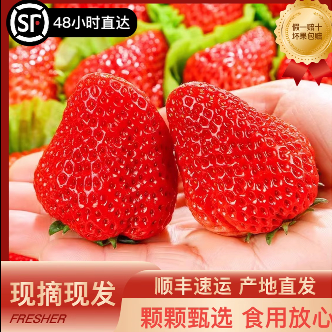 【顺丰包邮】正宗丹东九九草莓新鲜采摘水果香甜饱满