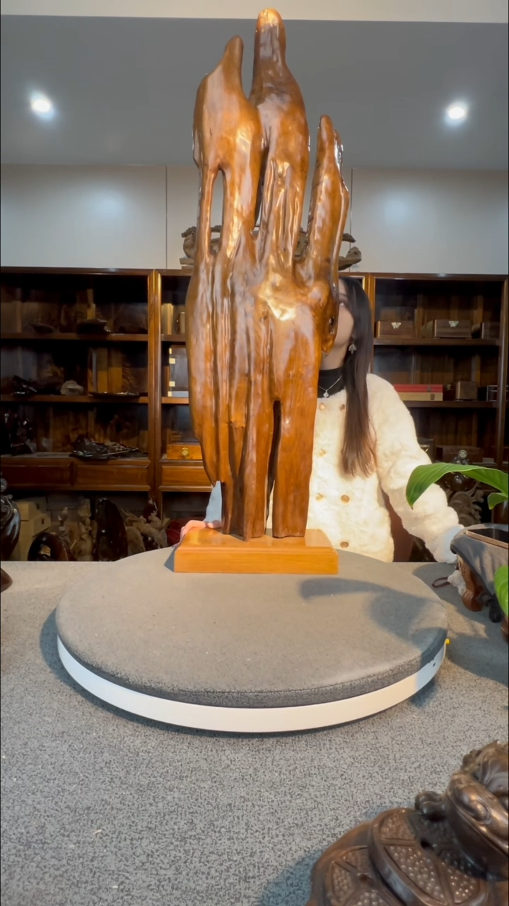 【闪购商品】金丝楠木雕随型摆件6