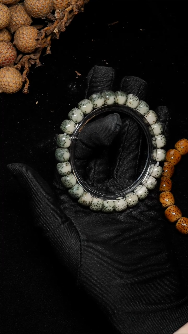 手串星月菩提9*8绿背河豚E008