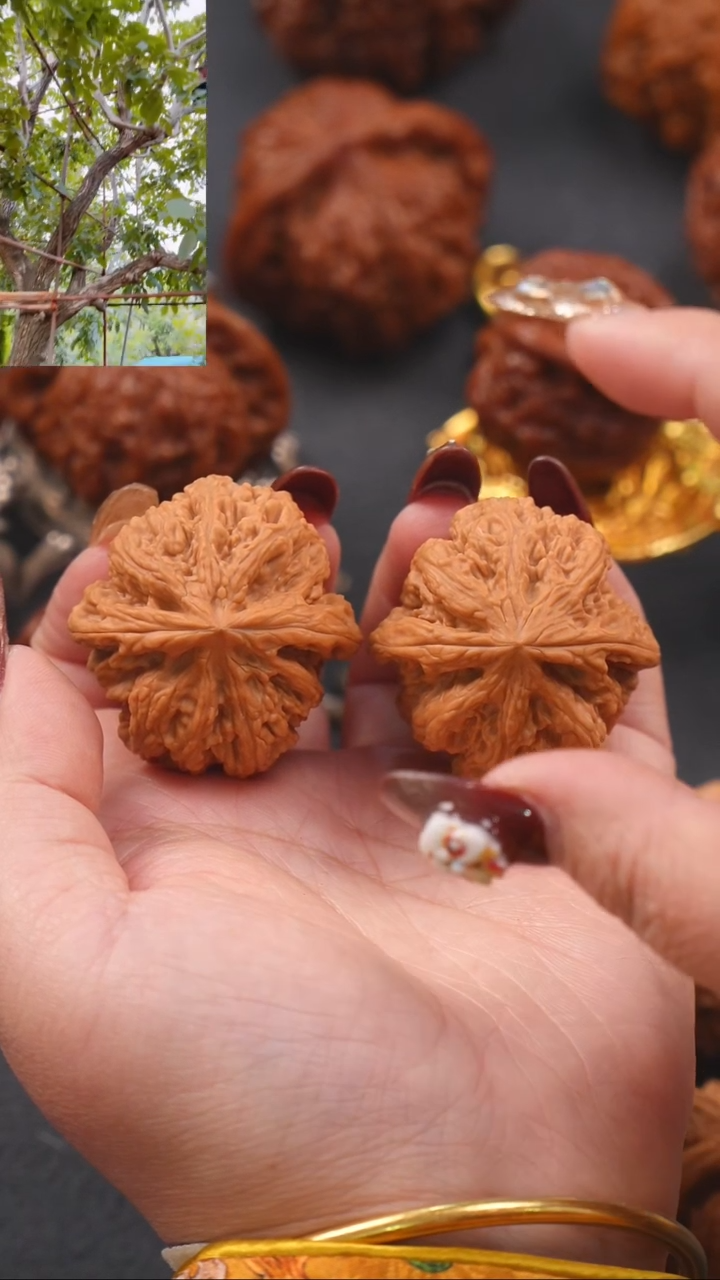 【闪购商品】文玩核桃把件39平谷粗筋