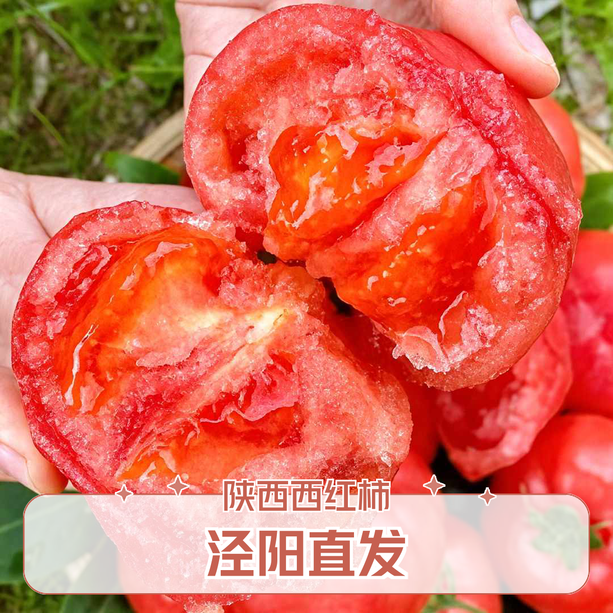 陕西泾阳[普罗旺斯]产地直发水果西红柿现摘新鲜沙瓤西红番茄爆汁