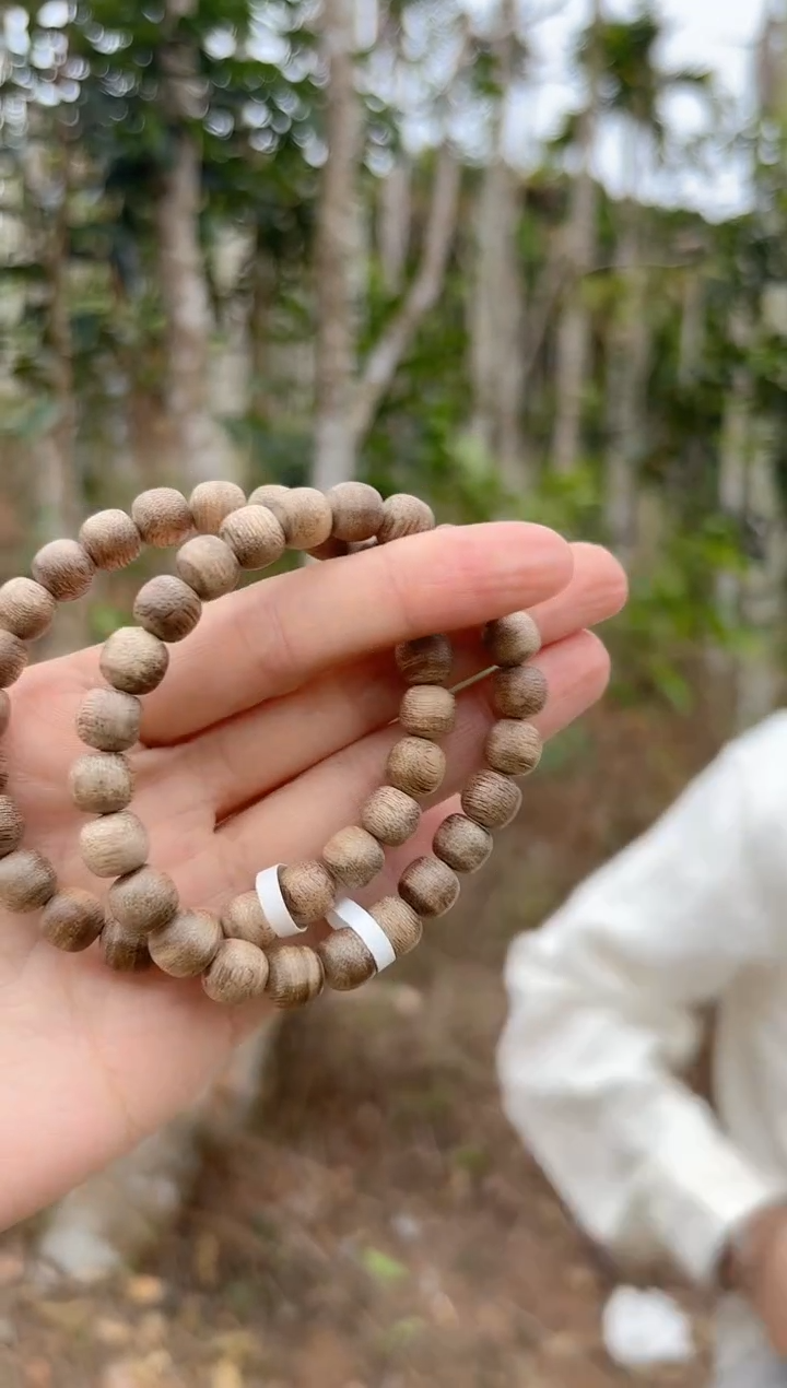【闪购商品】沉香手串海南天然野虫漏桶珠8mm多样性发其一