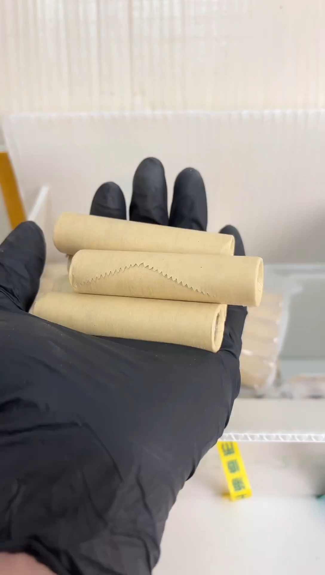 整卷 法定货币原光原卷原厂封装  131