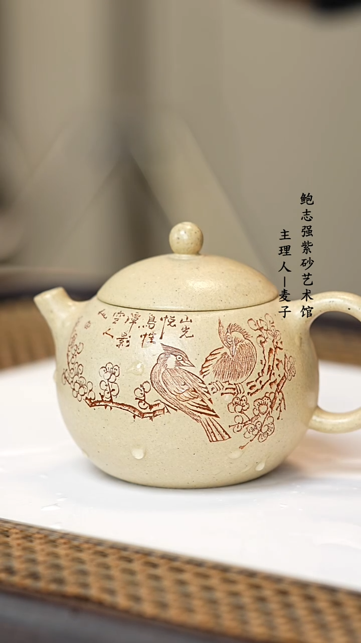 【闪购商品】紫砂茶壶紫砂 西施