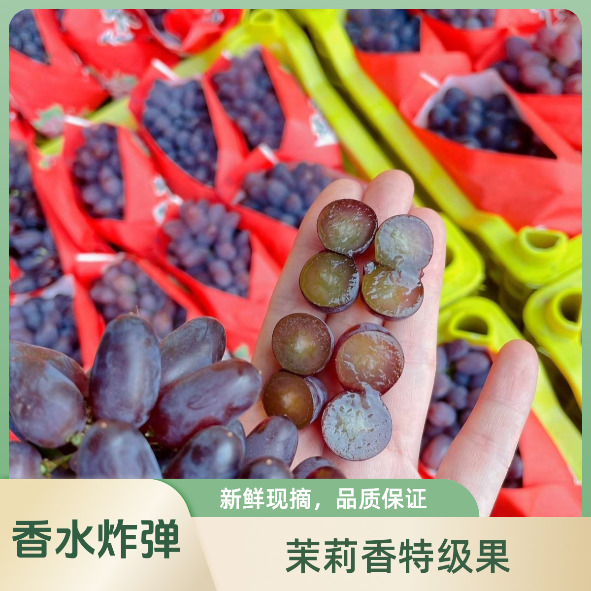 甜甜【顺丰冷链包邮】茉莉香 应季爆款 香味四溢 葡萄中的皇后 顺丰2斤/3斤/5斤新鲜葡萄同城送云南省
