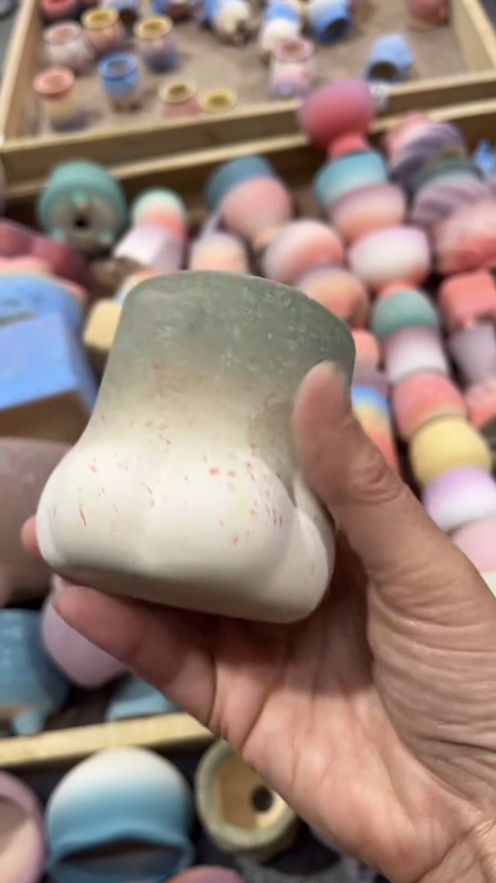 【闪购商品】红陶11