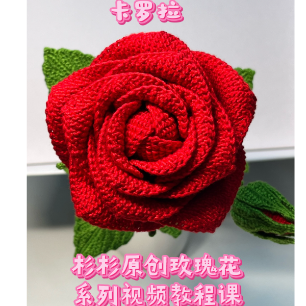 杉杉原创玫瑰花系列视频课-知识服务读书卡课程-读书卡