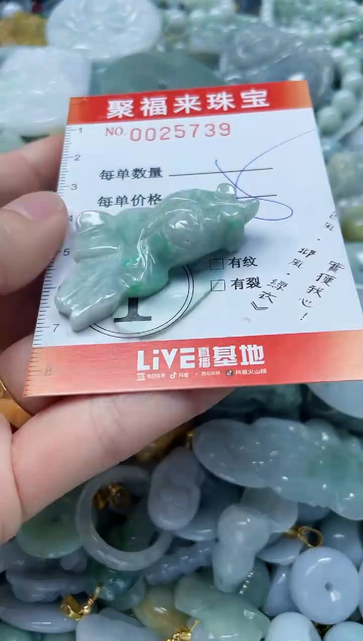 【闪购商品】翡翠颈饰未镶嵌闪购0025739