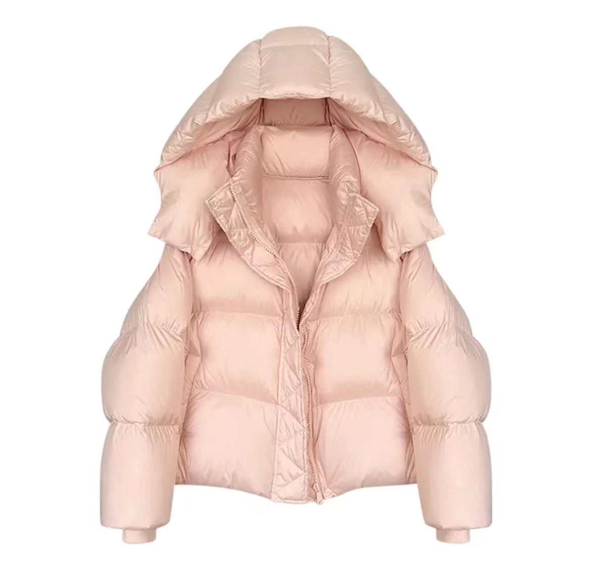 直播链接~休闲连帽亮面宽松冬季厚款女装短款长袖常规时尚韩版