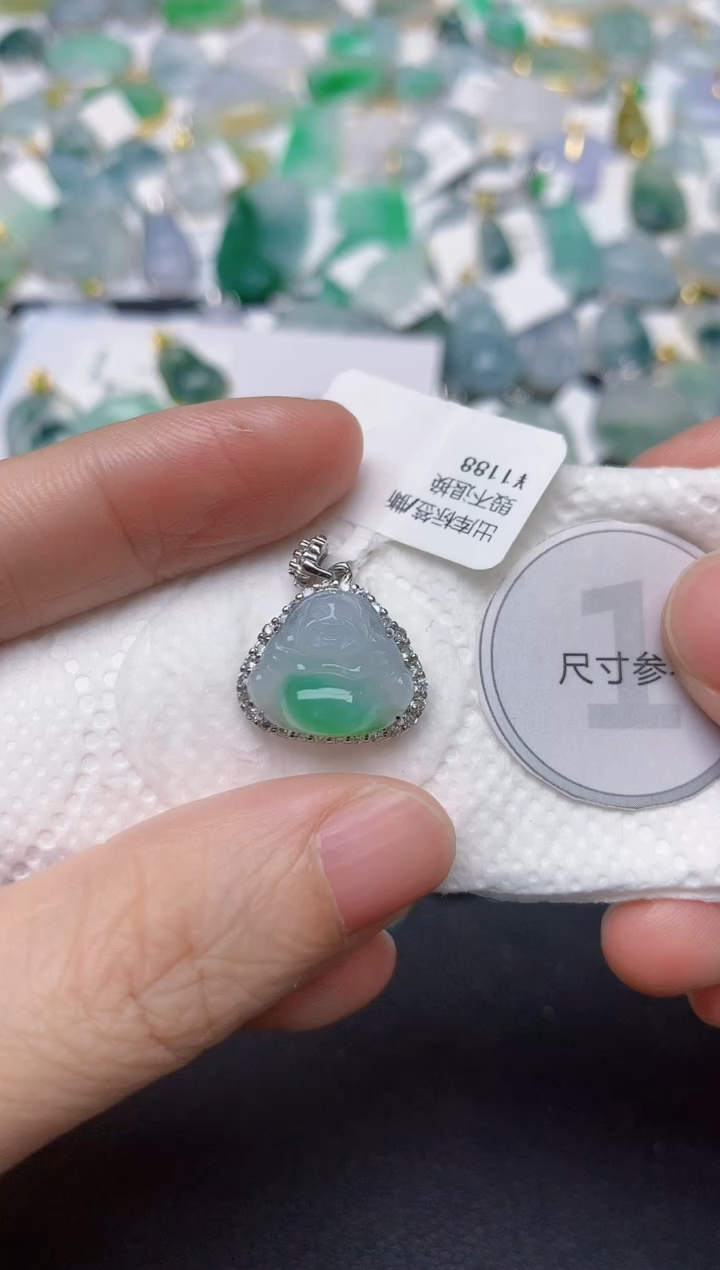 颈饰未镶嵌翡翠天然缅甸A货翡翠