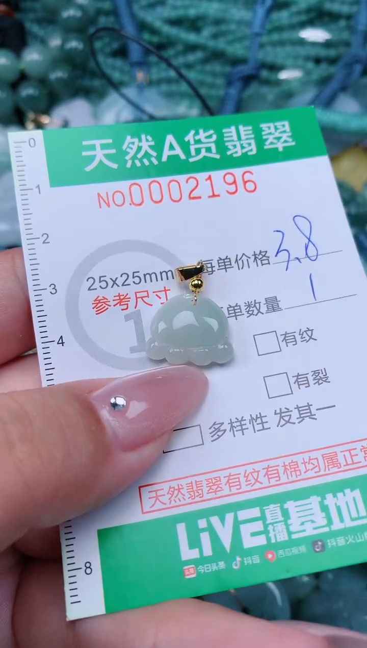 翡翠未镶嵌颈饰.0002196