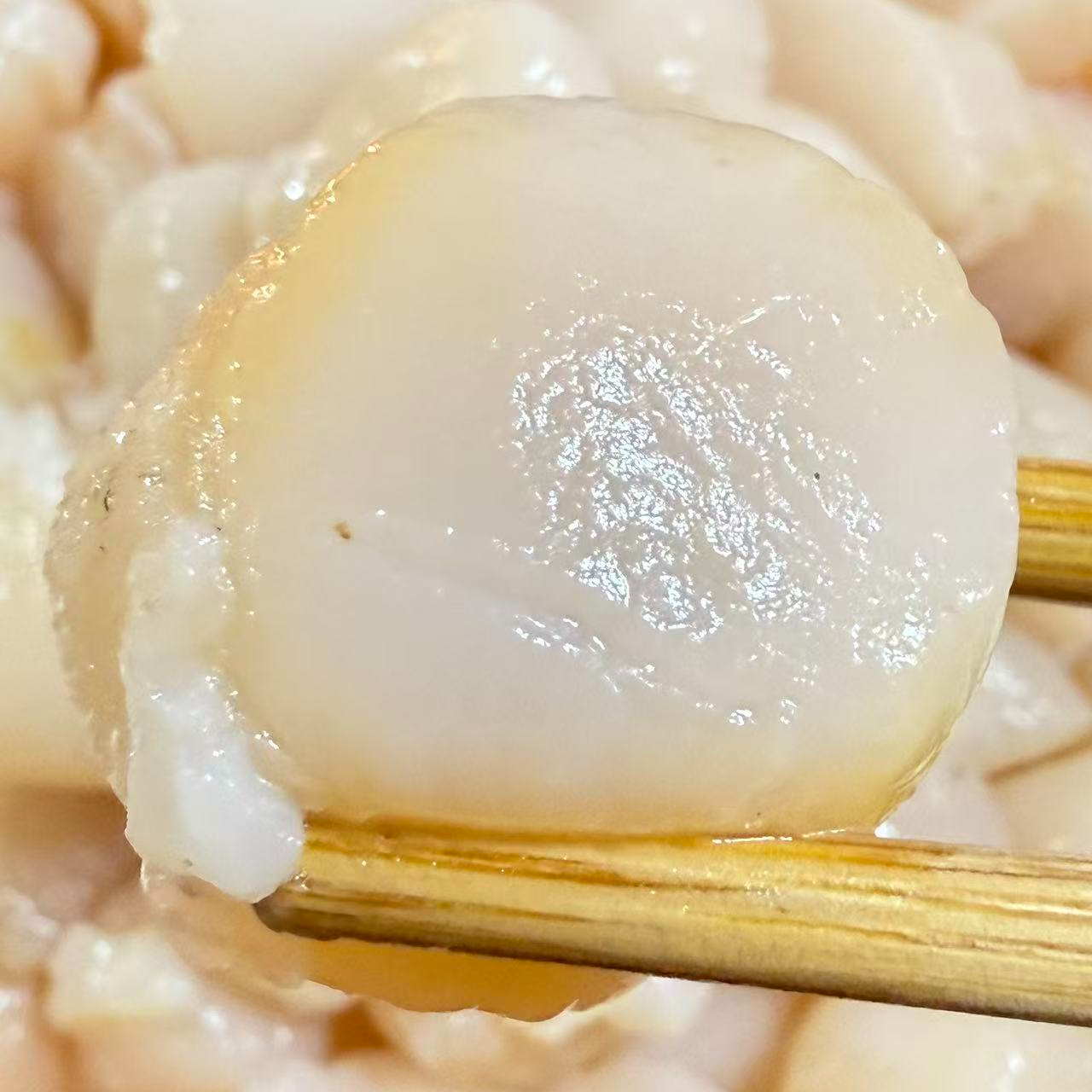 原浆速冻扇贝柱（三斤）