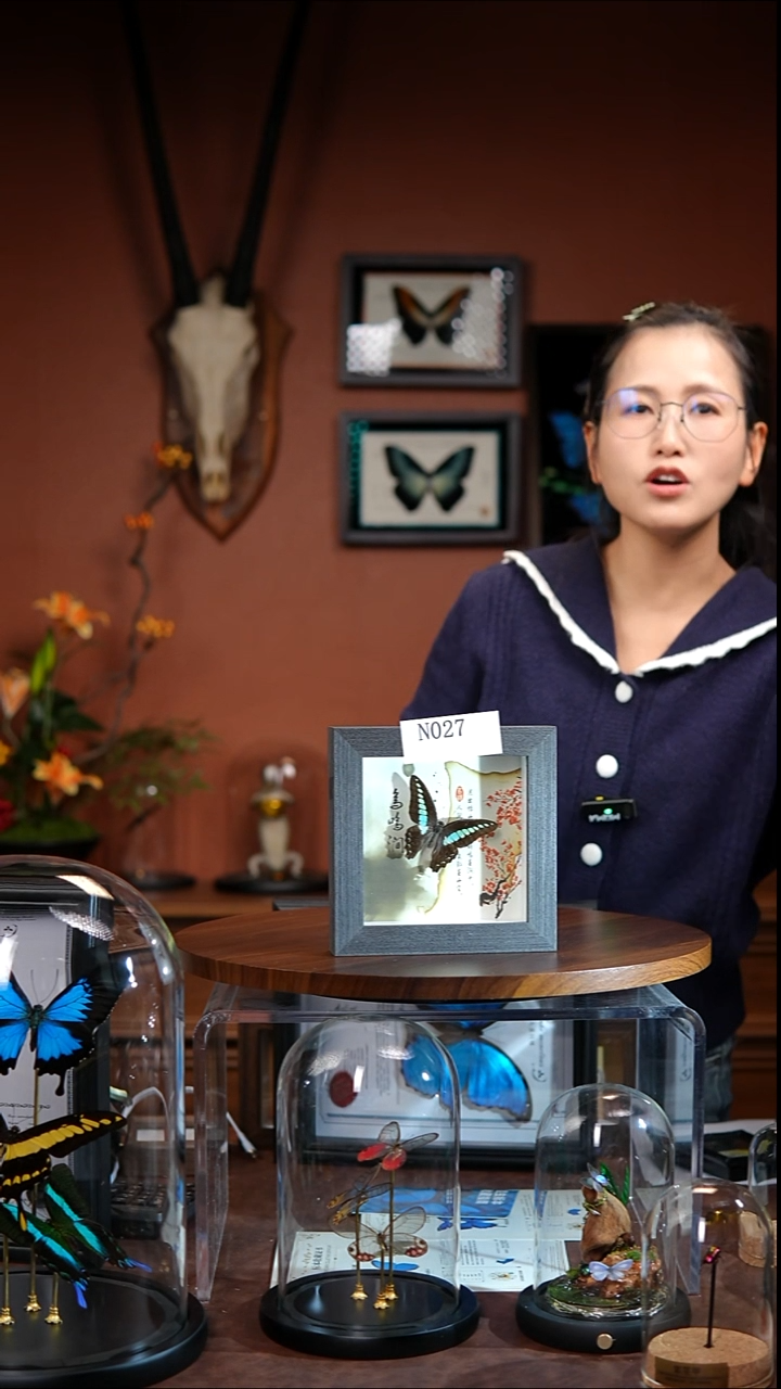 N027        青凤蝶
