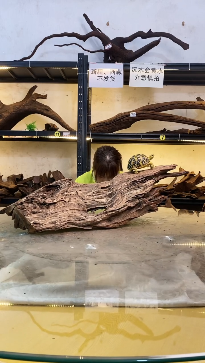 【闪购商品】柚木木艺鱼缸造景沉木125