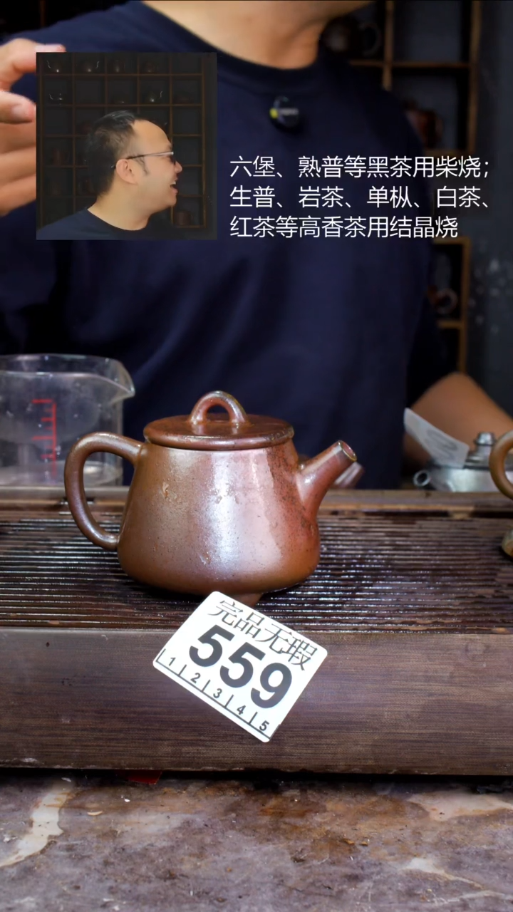 壶四大名陶钦州坭兴陶559